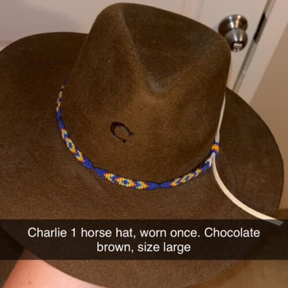 Charlie 1 Horse Cowboy Hat - Picture 1 of 3